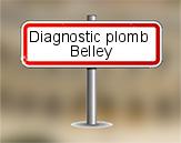 Diagnostic plomb AC Environnement à Belley